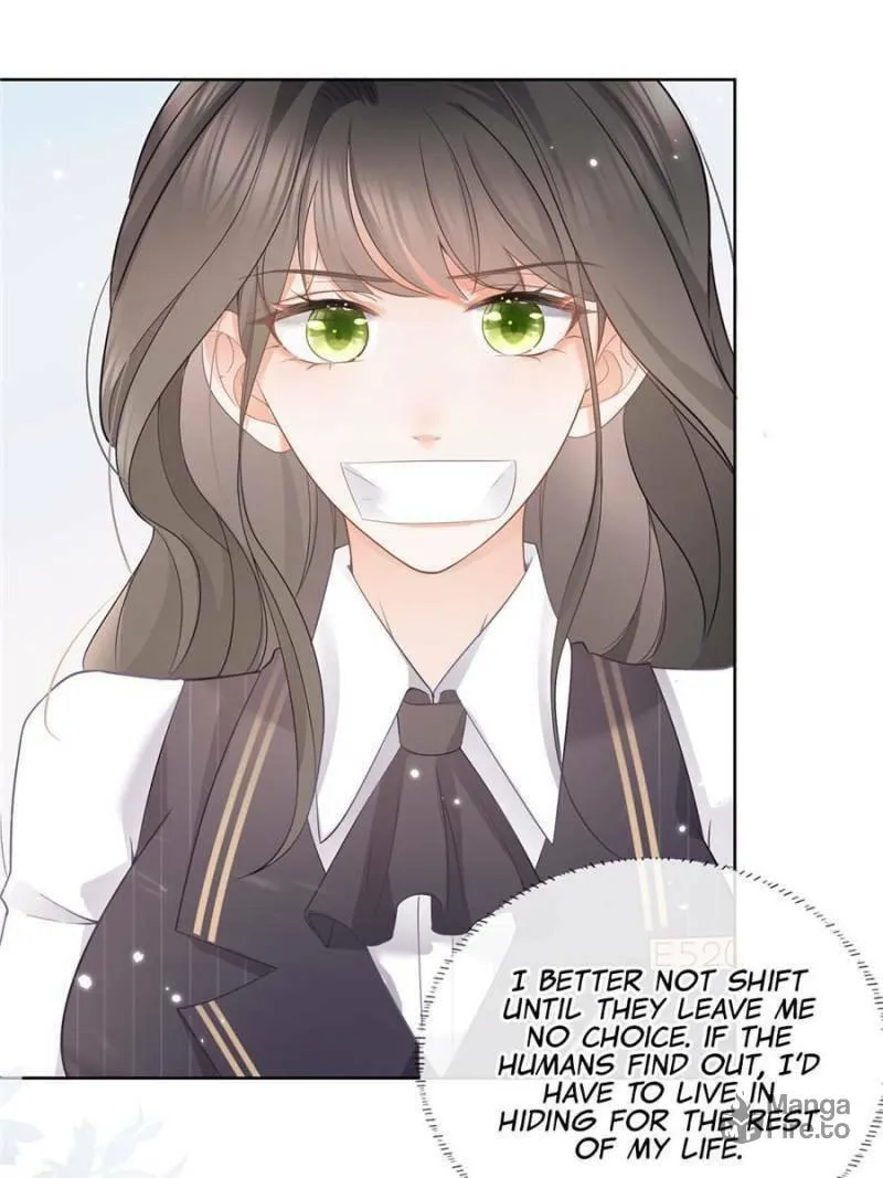 Read A Professional Assassin Raises a Fox chapter 9 image 17 on Lezhin