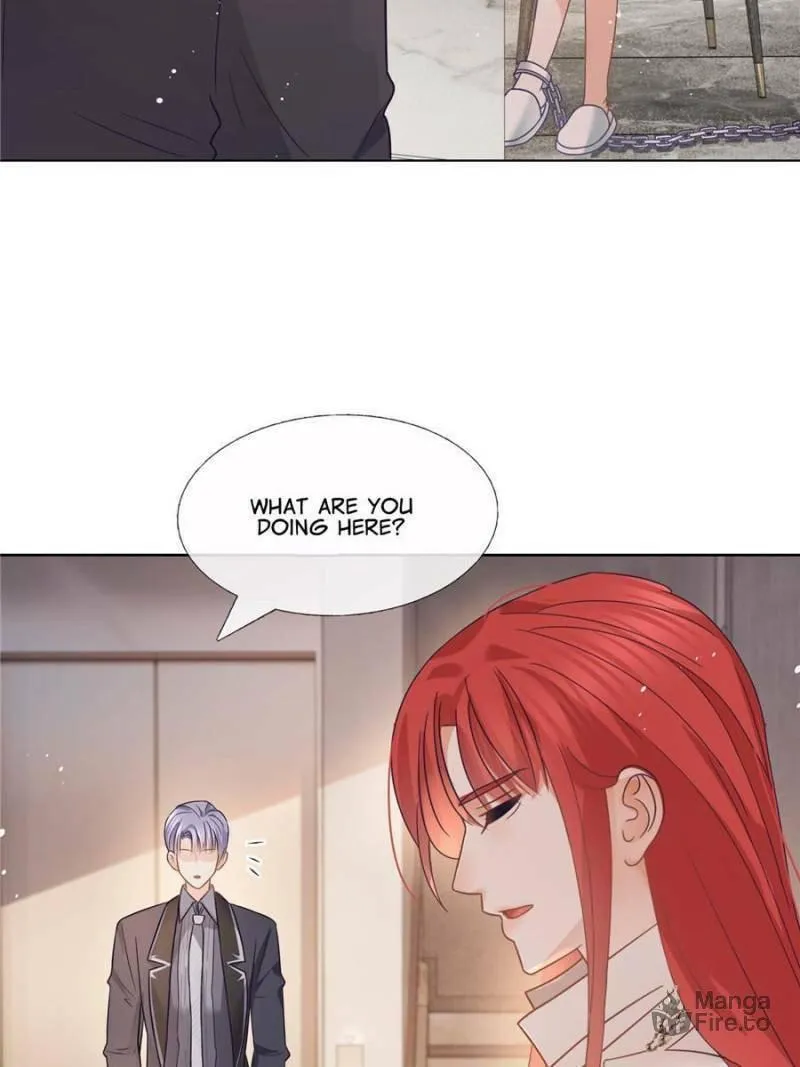 A Professional Assassin Raises a Fox Chapter 94 page 42 - 