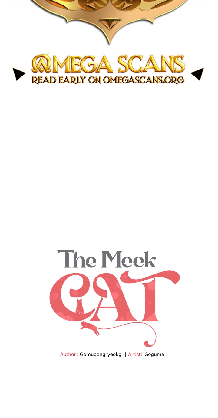 Read A Quiet Cat chapter 18 image 1 on Lezhin