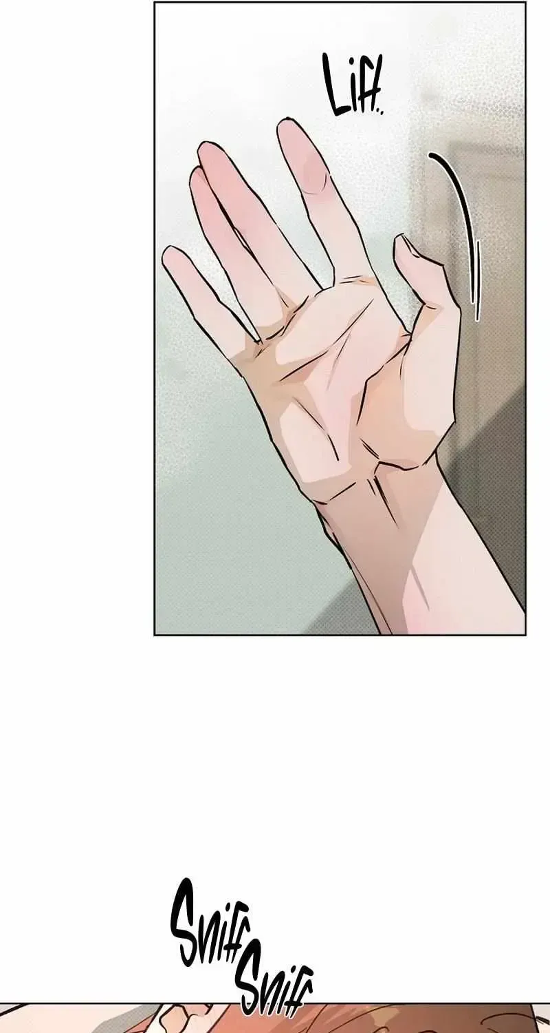 Read A relationship that should never be. chapter 1.2 image 50 on Lezhin