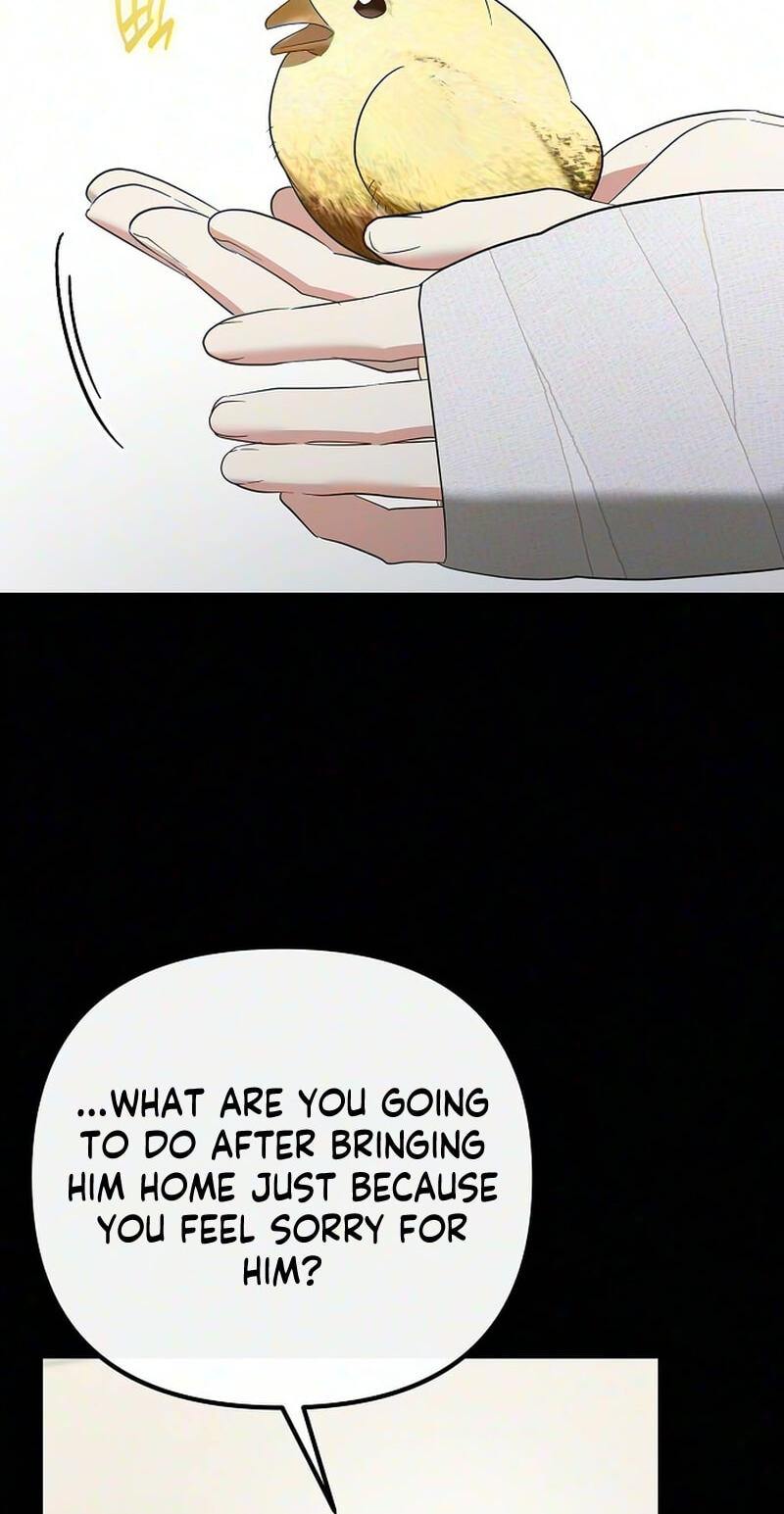 A Retired Saint Will Raise Your Home Value Chapter 39 page 43 - 