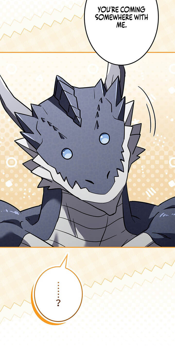 A Saint Who Levels Up Through Necromancy Chapter 29 page 46 - 