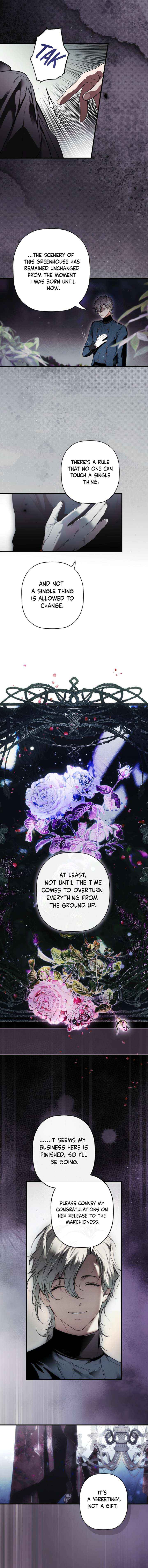 Read A Stepmother
