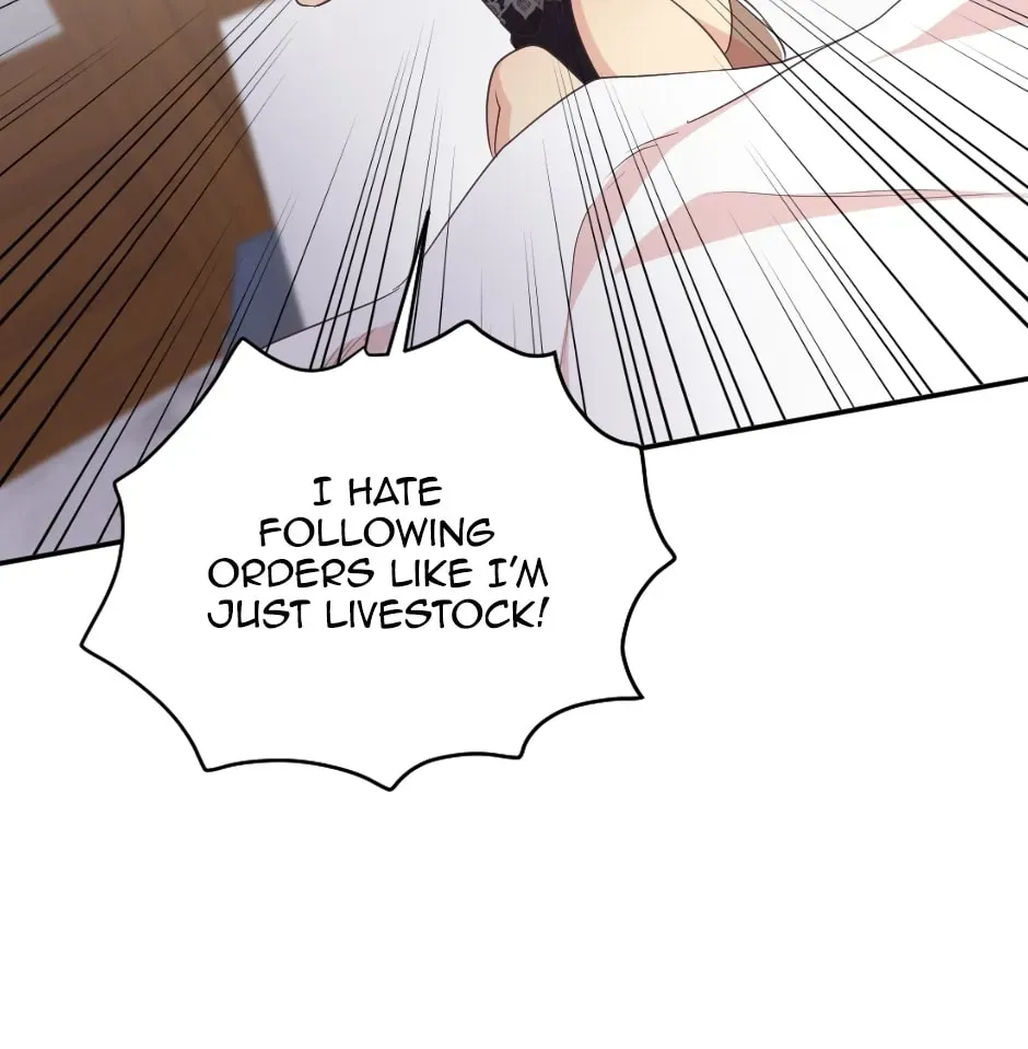 Read A Thousand Year Engagement chapter 3 image 20 on Lezhin