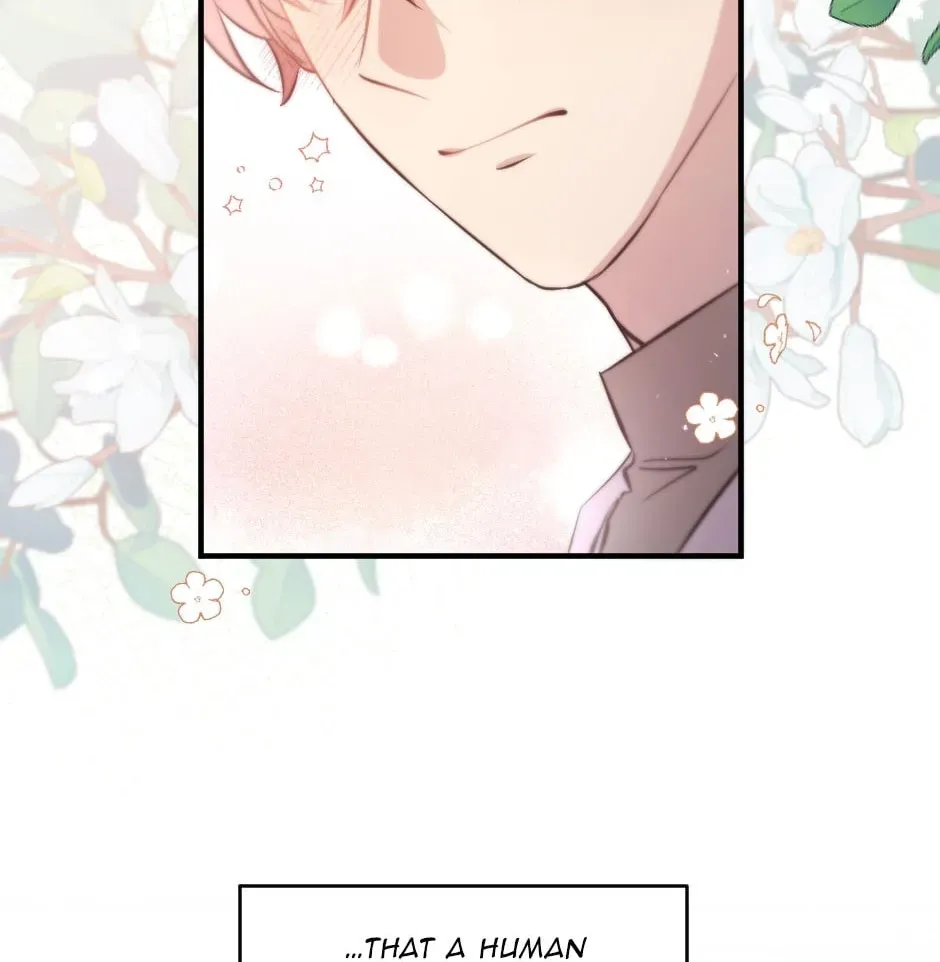 Read A Thousand Year Engagement chapter 41 image 1 on Lezhin