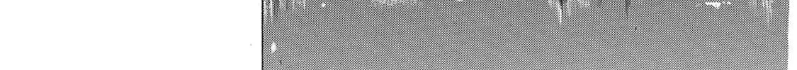 Read A Town Where You Live chapter 169 image 25 on Lezhin