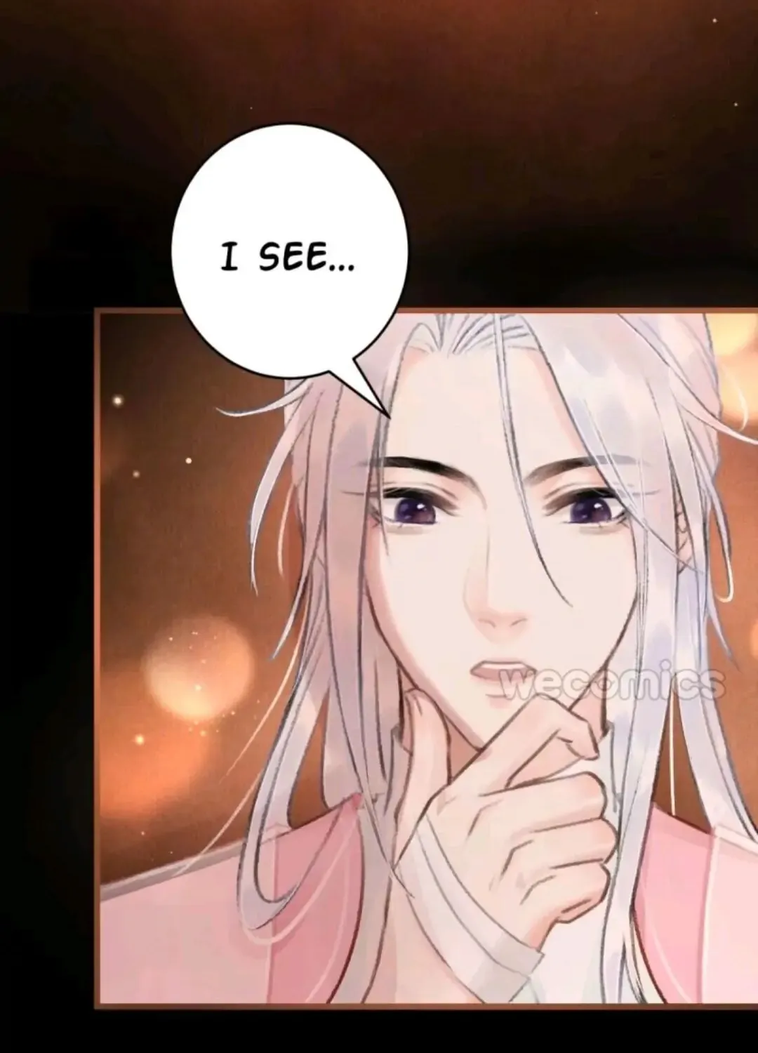 Read A Toyboy