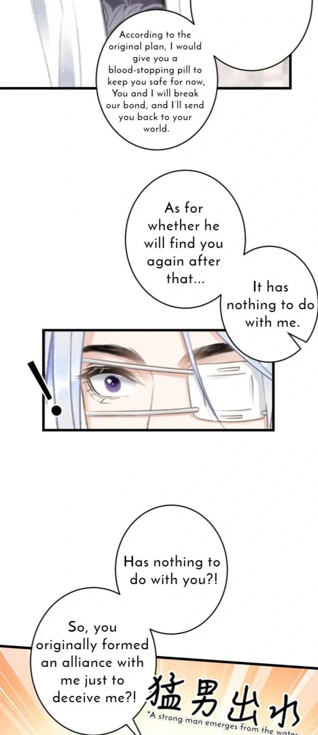 Read A Toyboy
