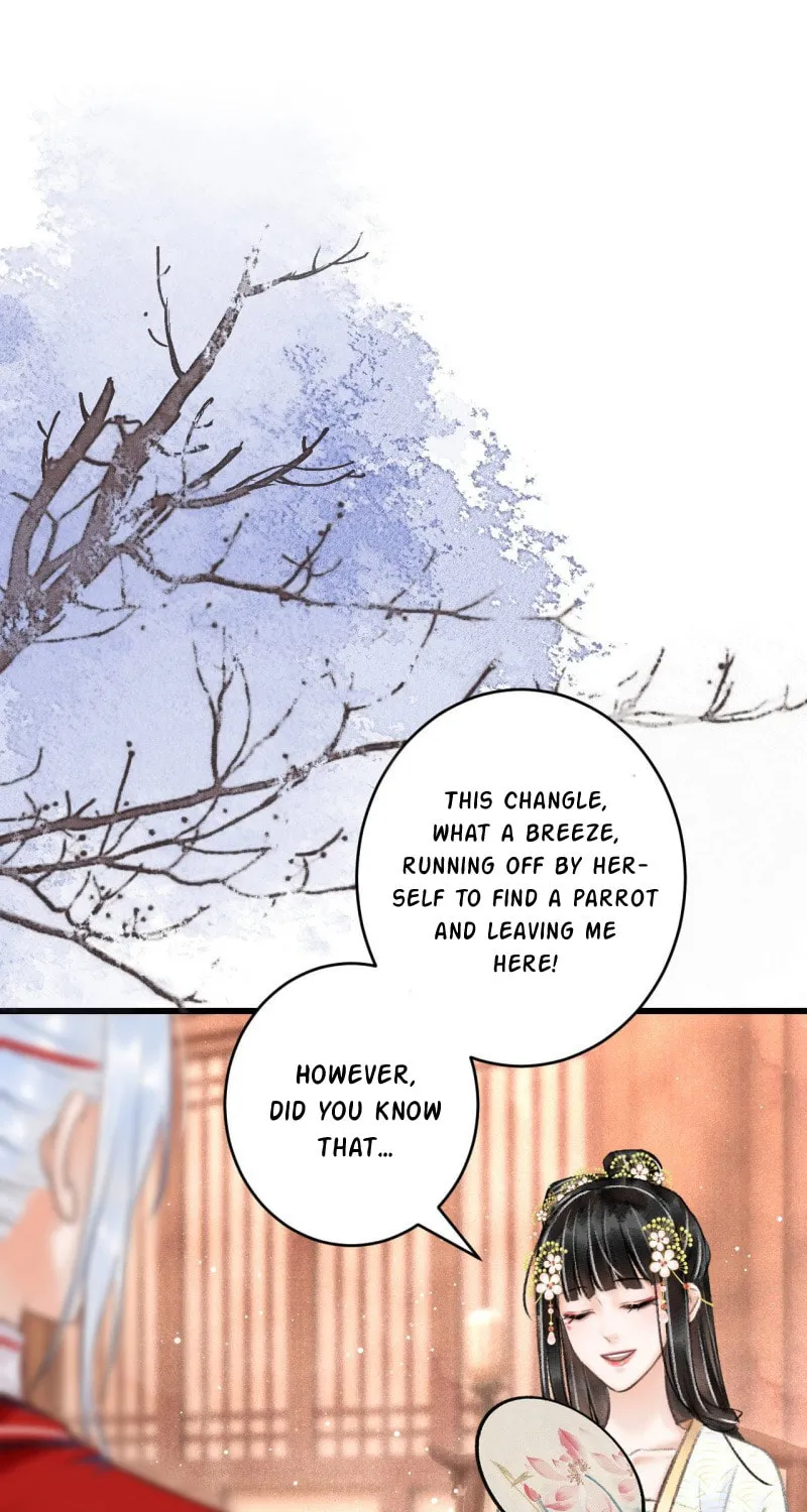 Read A Toyboy