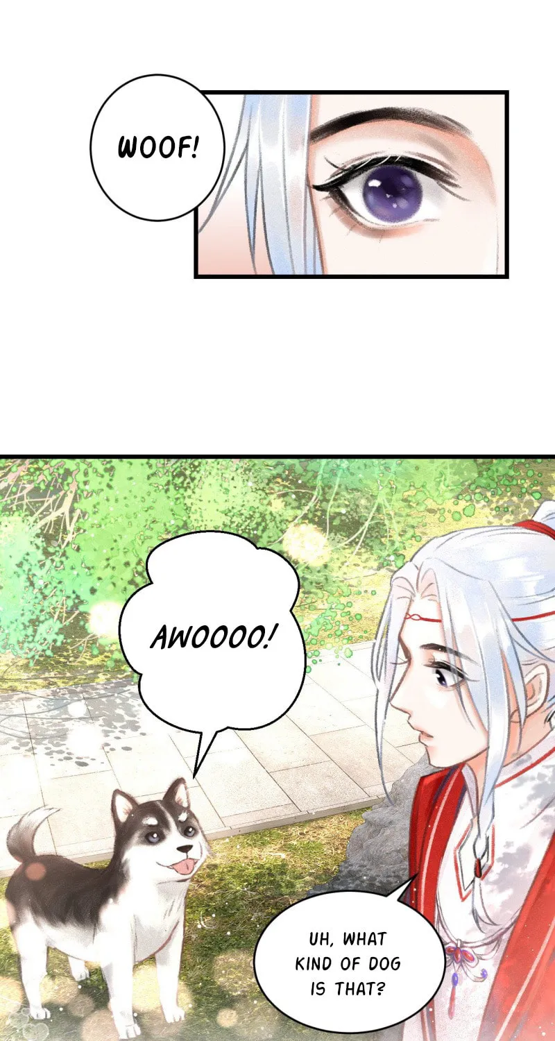 Read A Toyboy