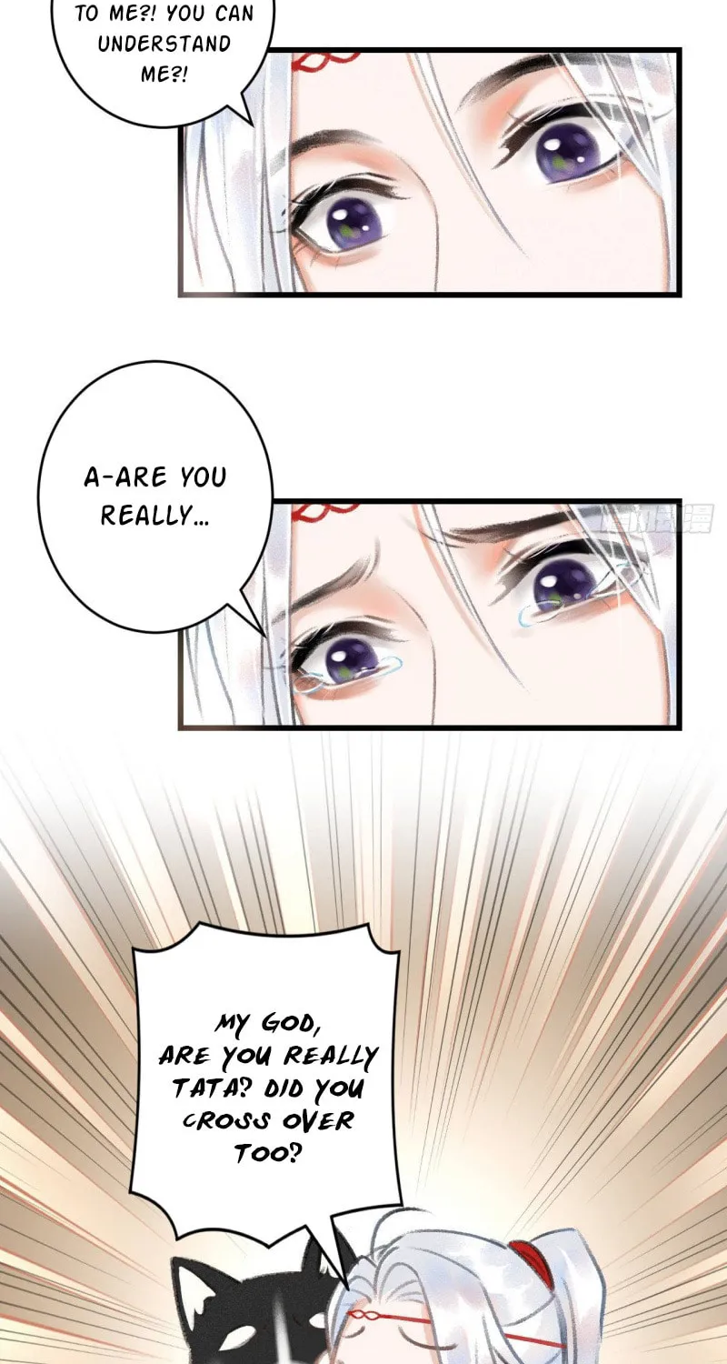Read A Toyboy