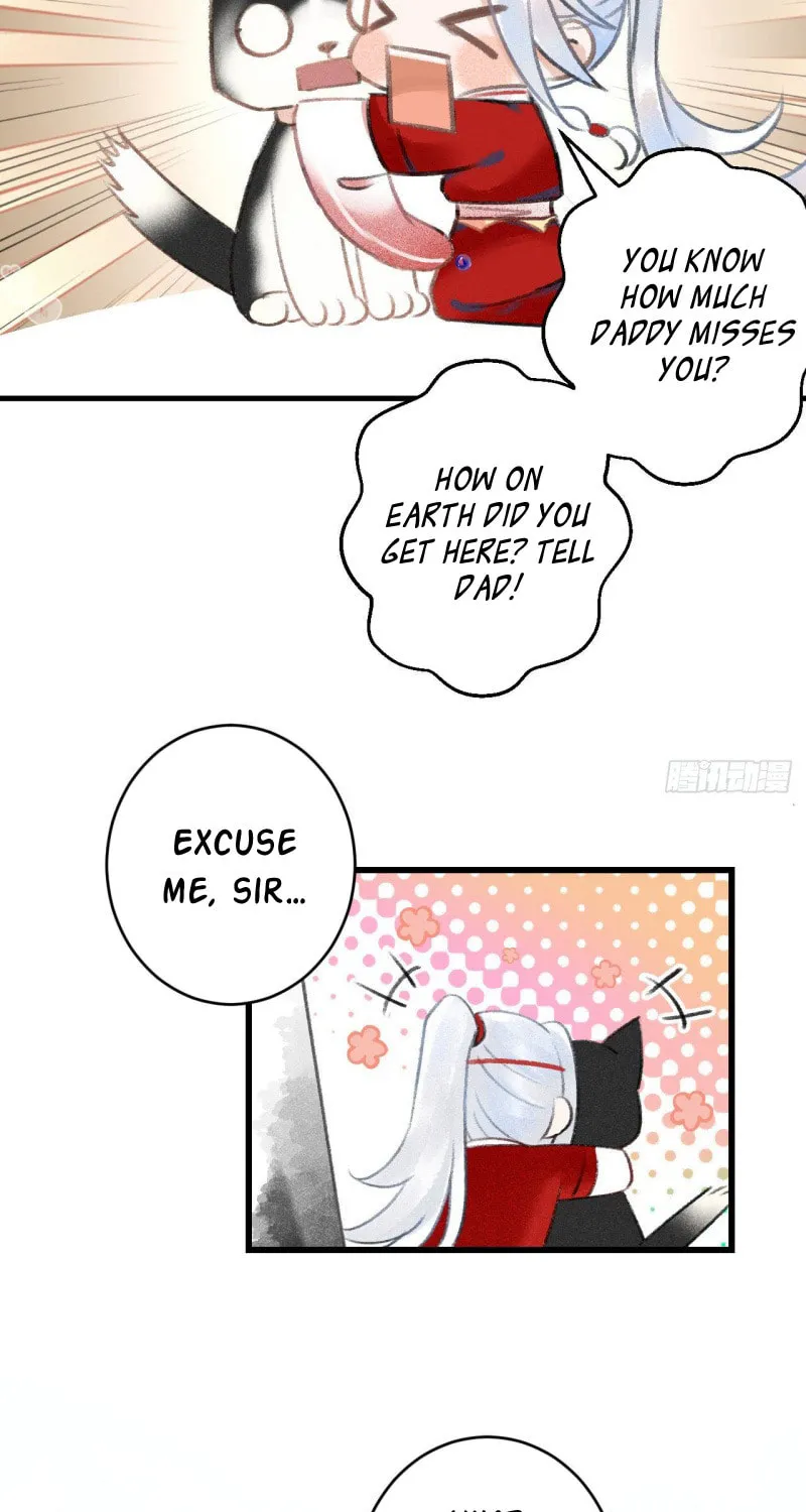 Read A Toyboy