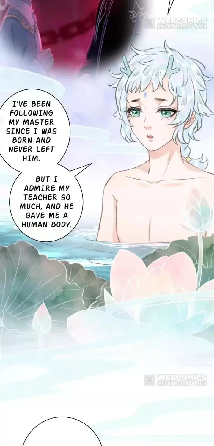 Read A Toyboy