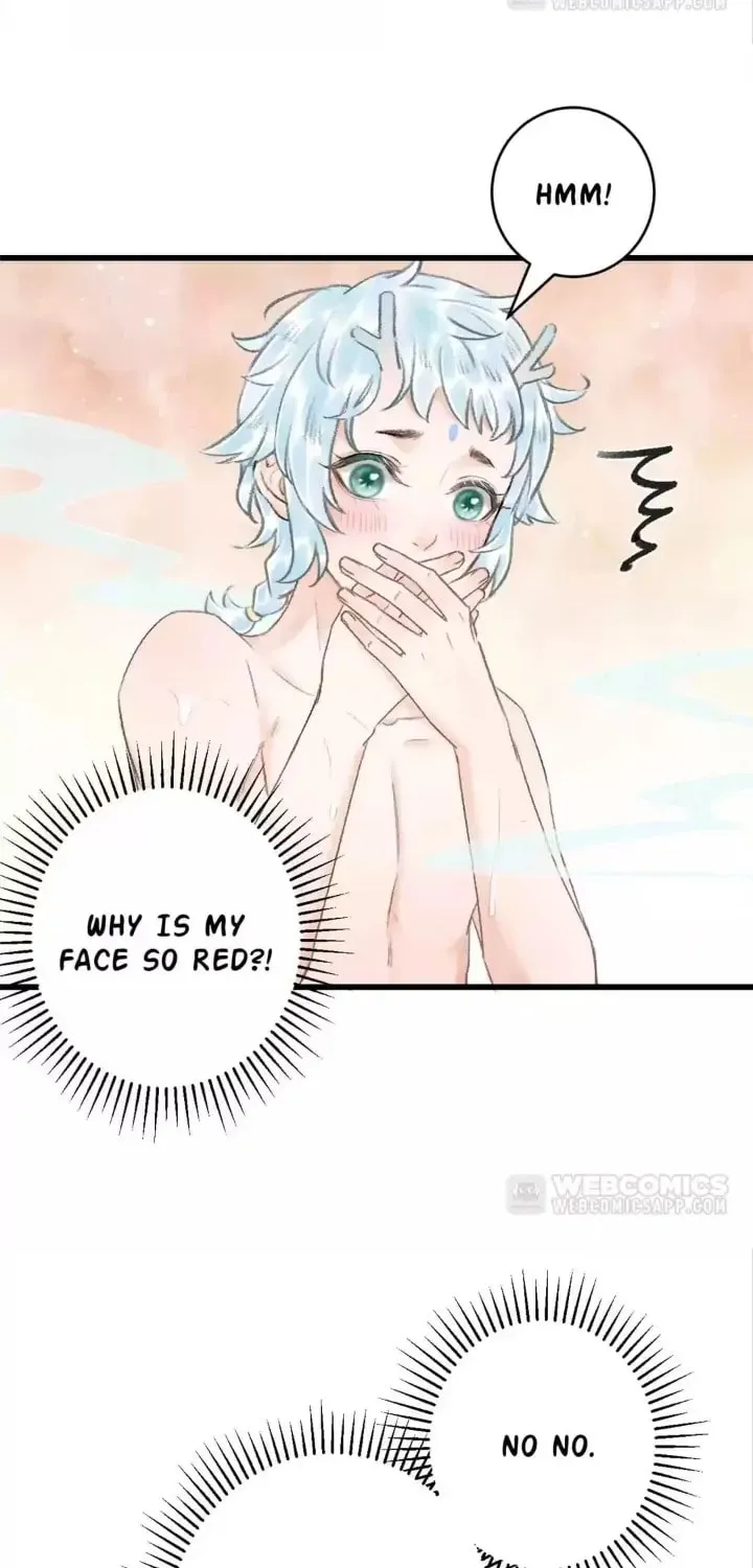 Read A Toyboy