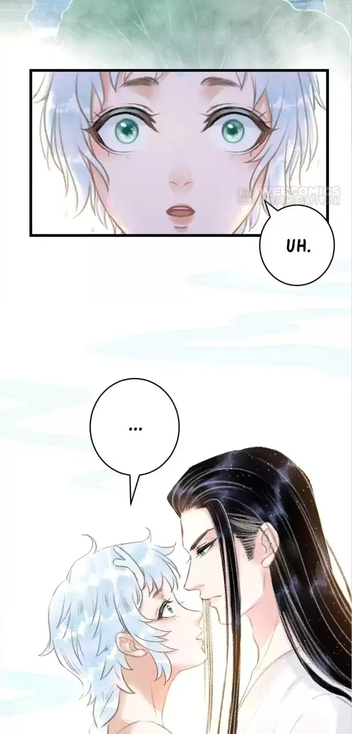 Read A Toyboy