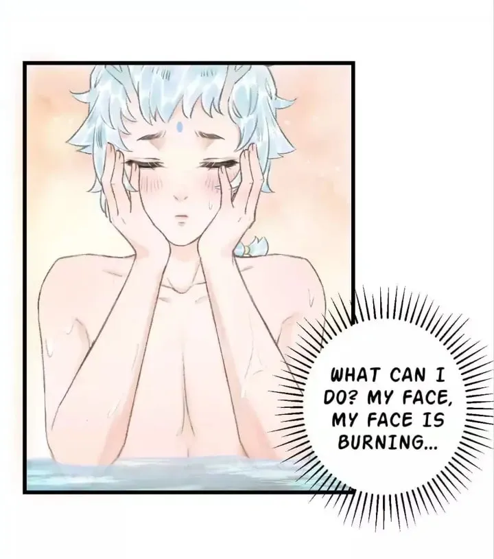 Read A Toyboy