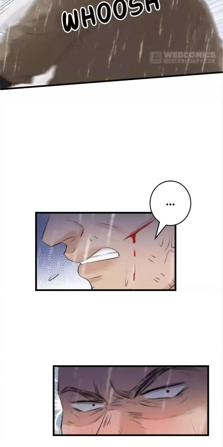 Read A Toyboy