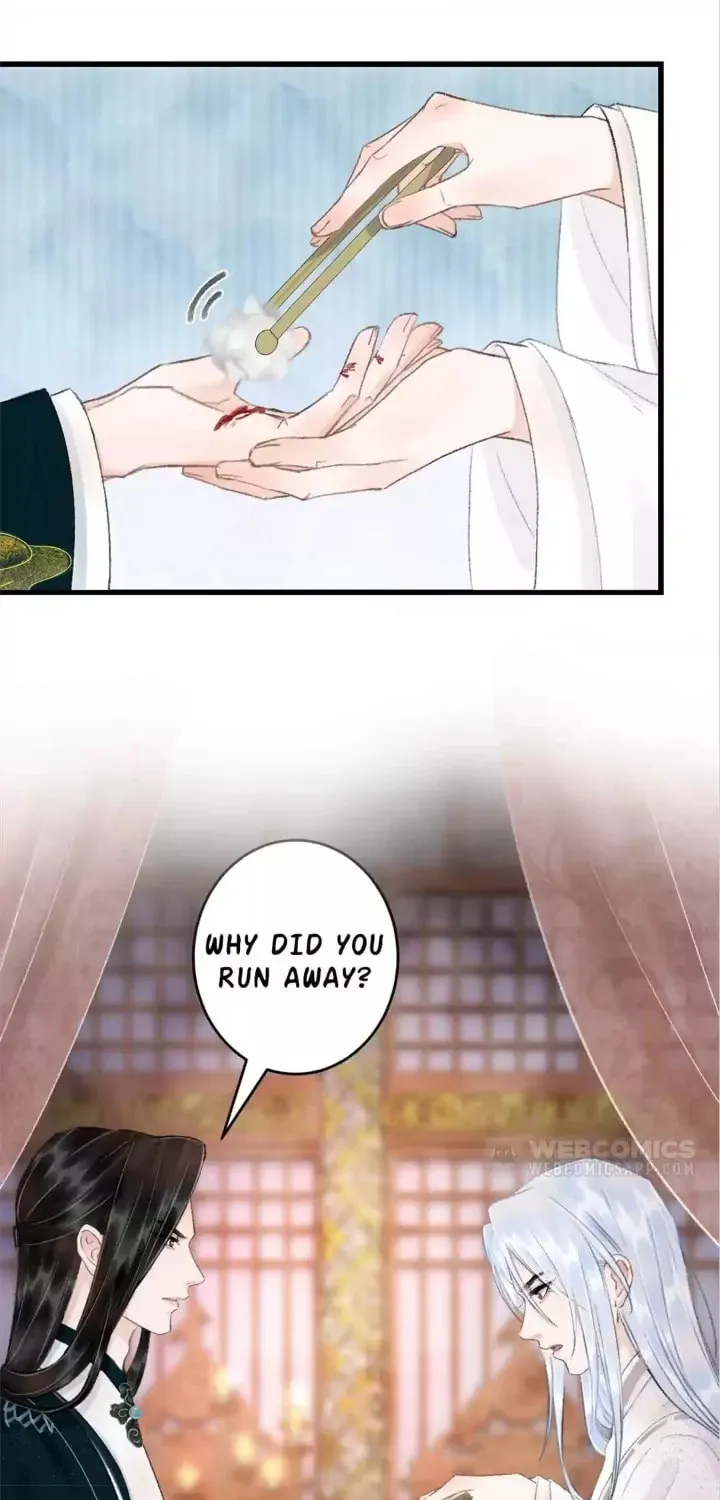 Read A Toyboy