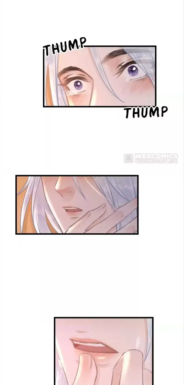 Read A Toyboy
