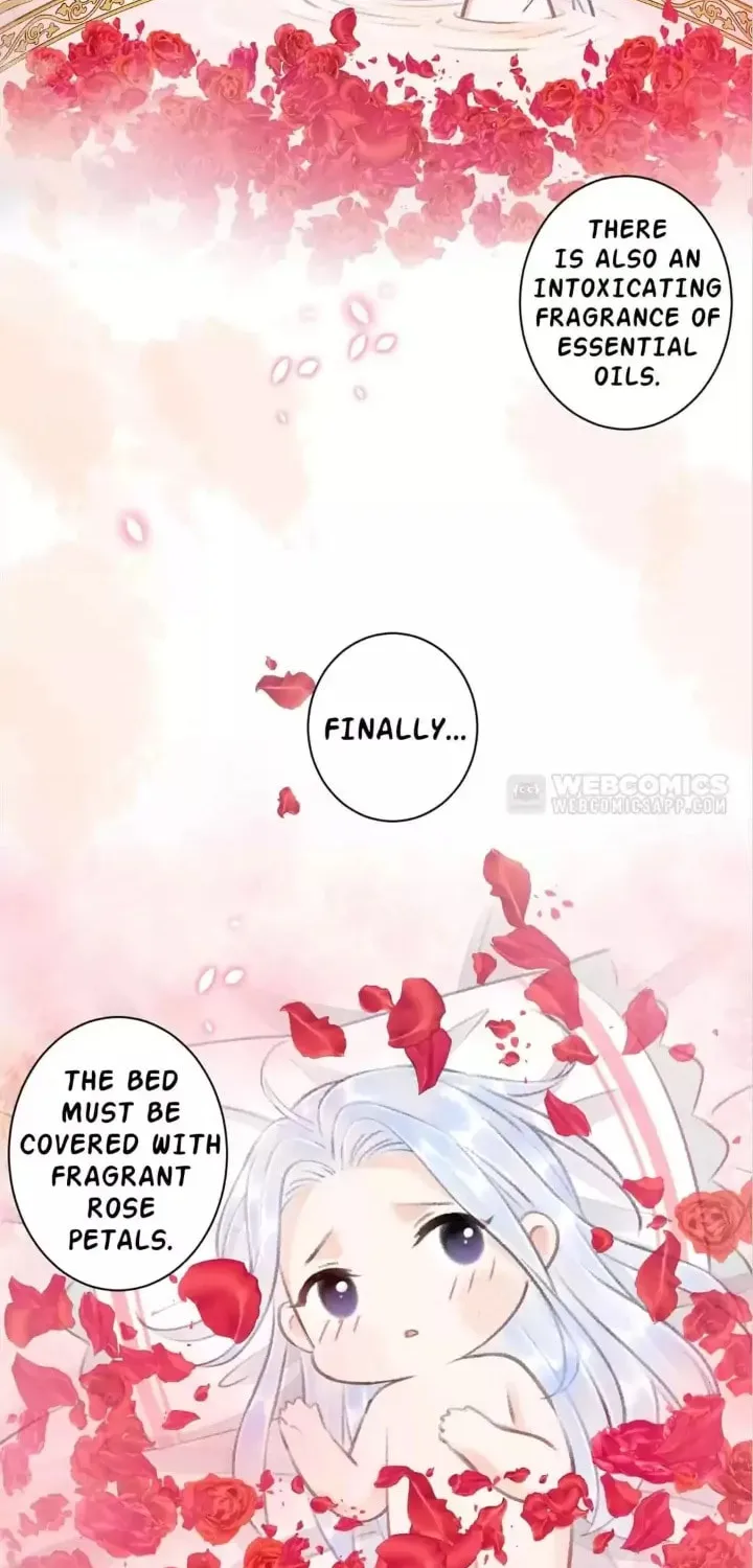 Read A Toyboy