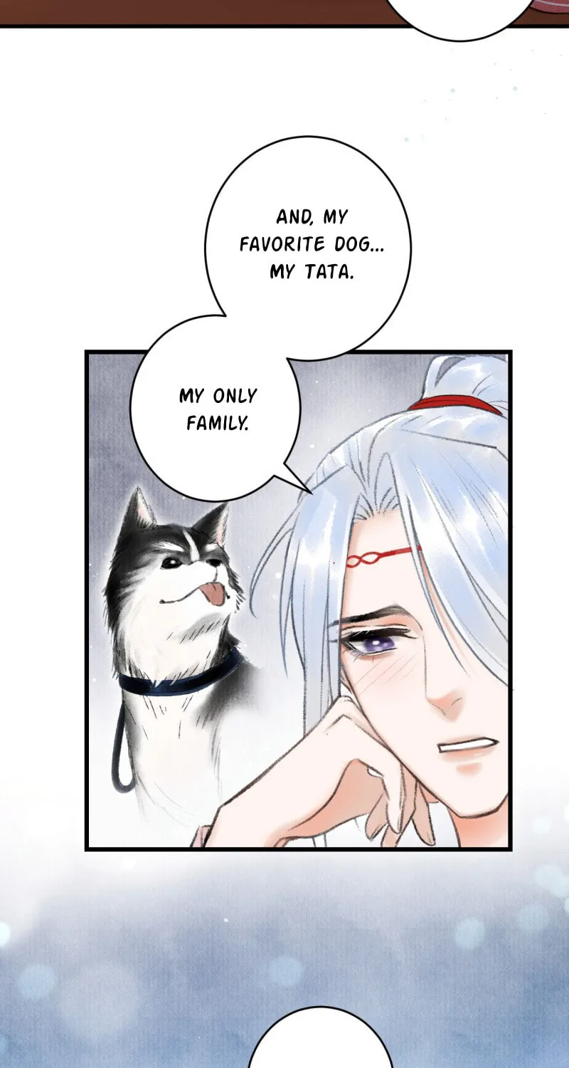 Read A Toyboy