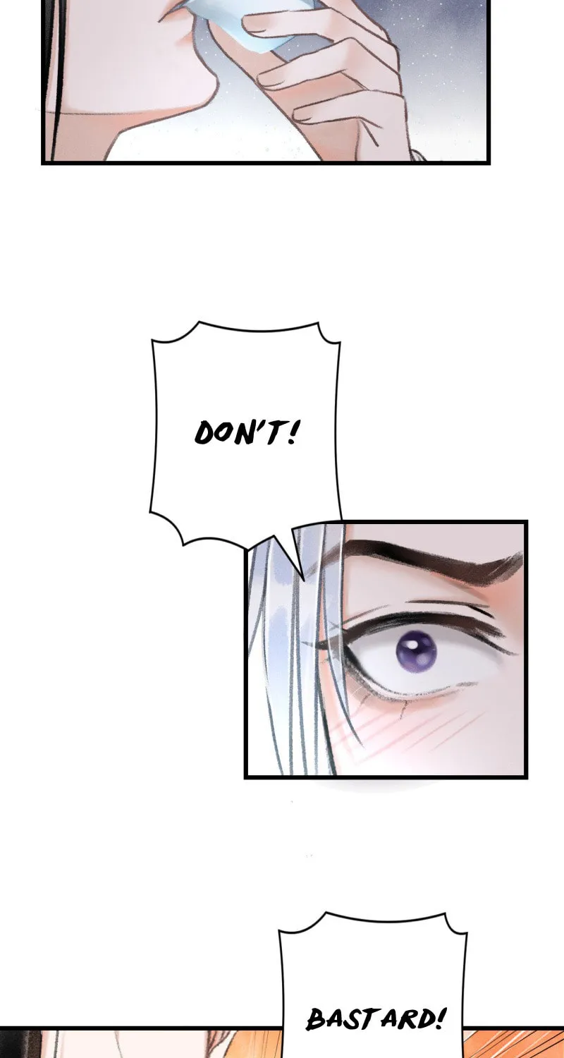 Read A Toyboy