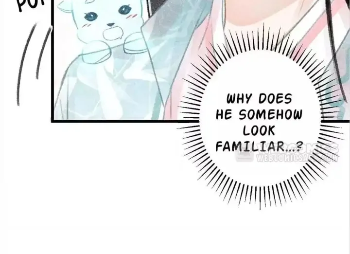 Read A Toyboy