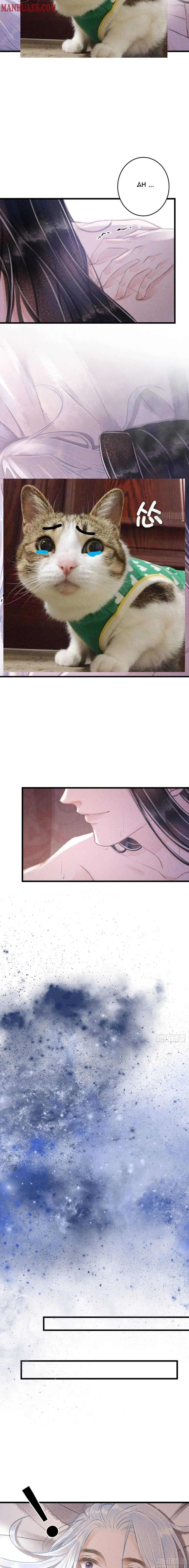Read A Toyboy