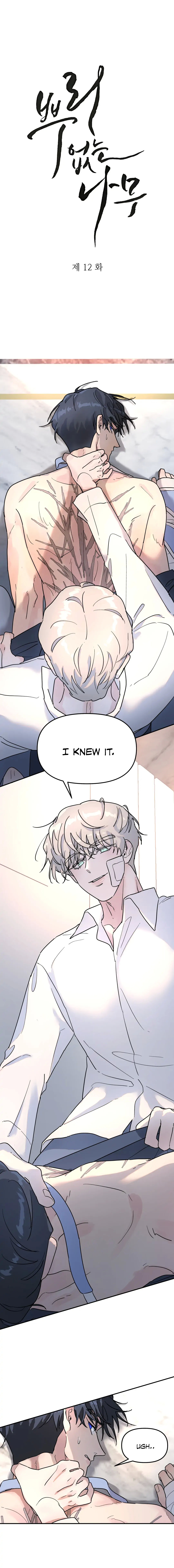 Read A Tree Without Roots chapter 12.1 image 1 on Lezhin