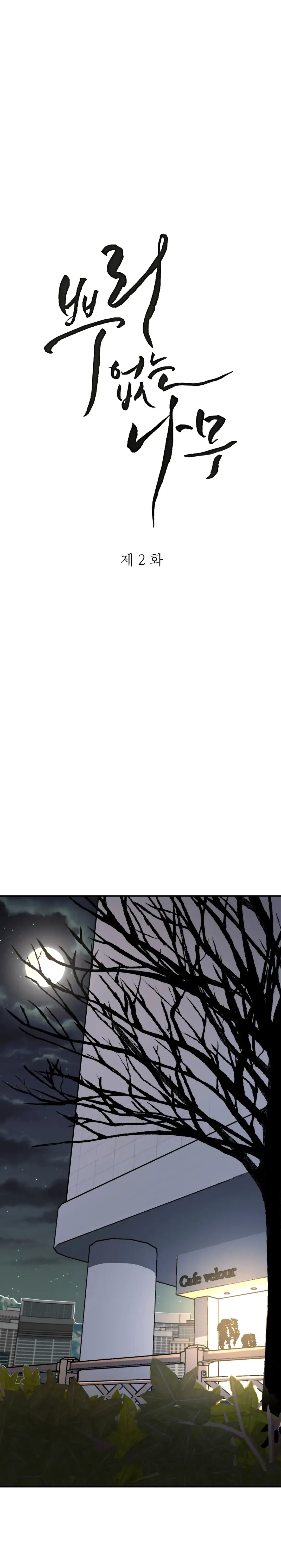 Read A Tree Without Roots chapter 2.3 image 7 on Lezhin