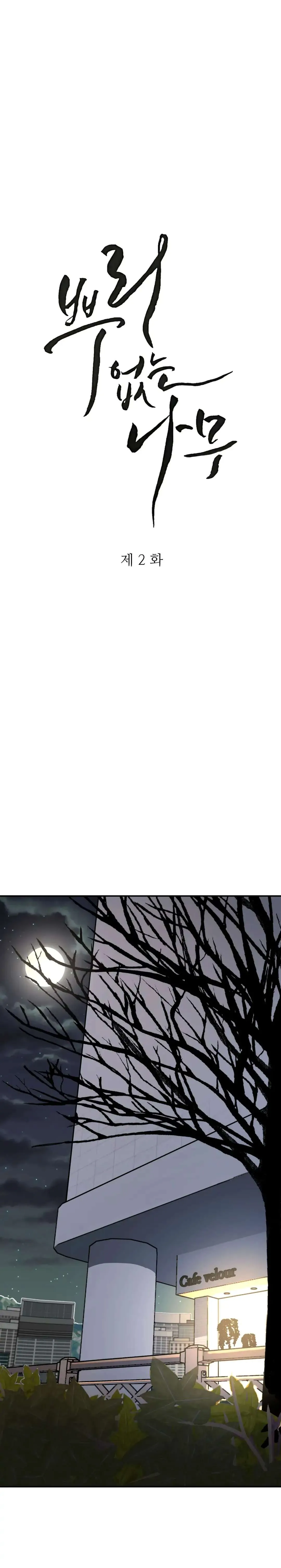 Read A Tree Without Roots chapter 2 image 7 on Lezhin