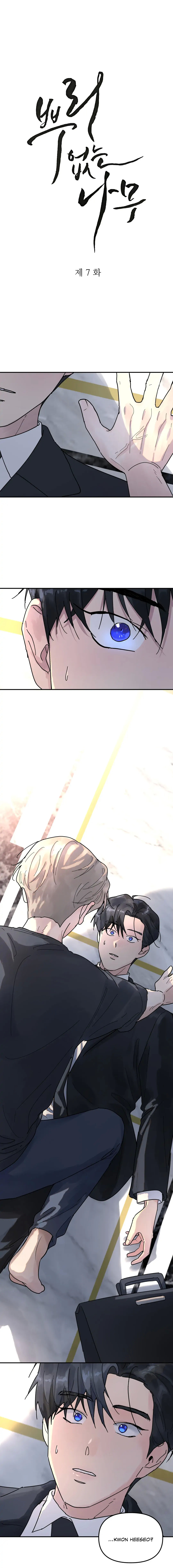 Read A Tree Without Roots chapter 7.1 image 1 on Lezhin