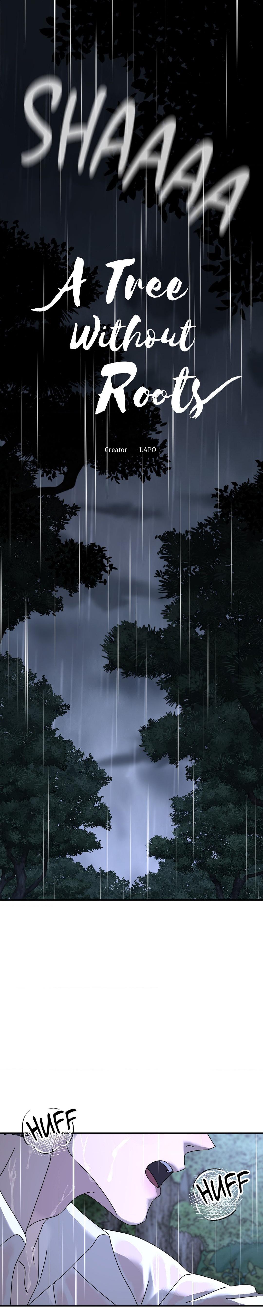 Read A Tree Without Roots chapter 70 image 2 on Lezhin