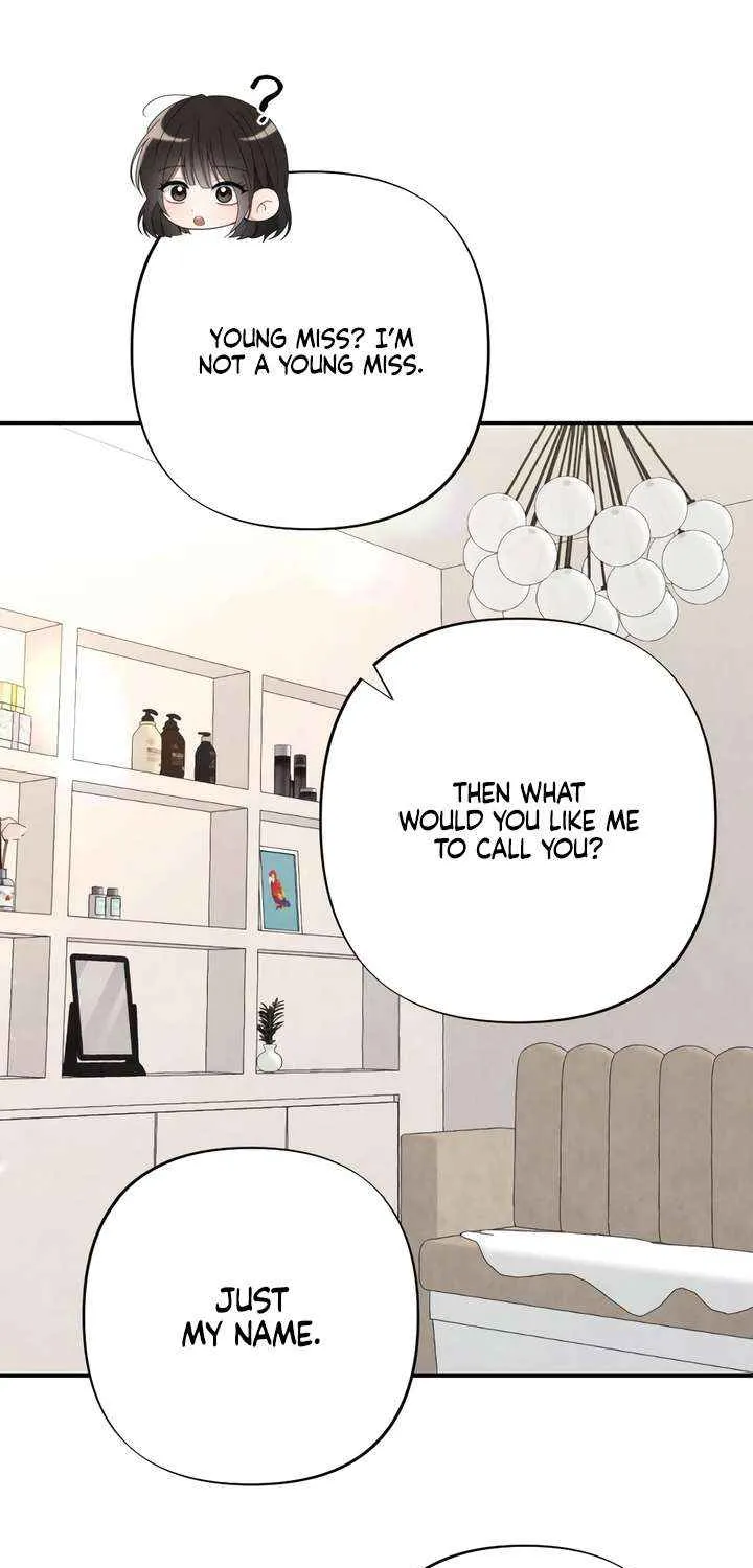 A Twisted Reunion Chapter 35 page 19 - 