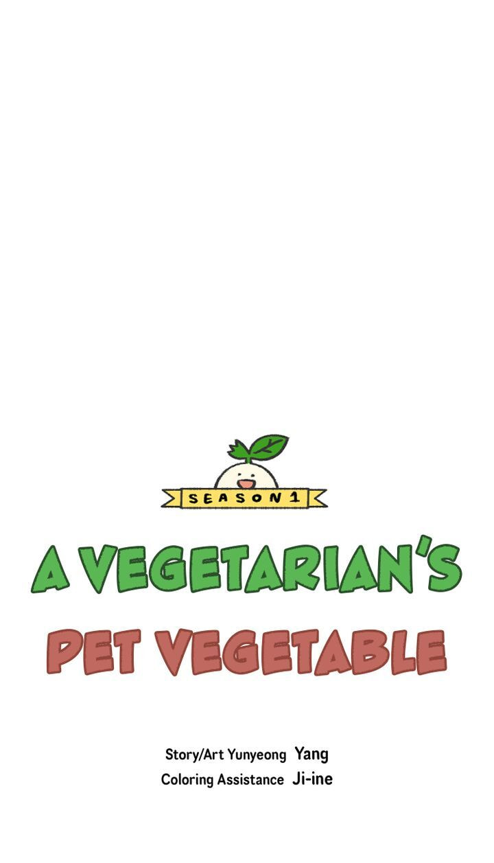 Read A Vegetarian