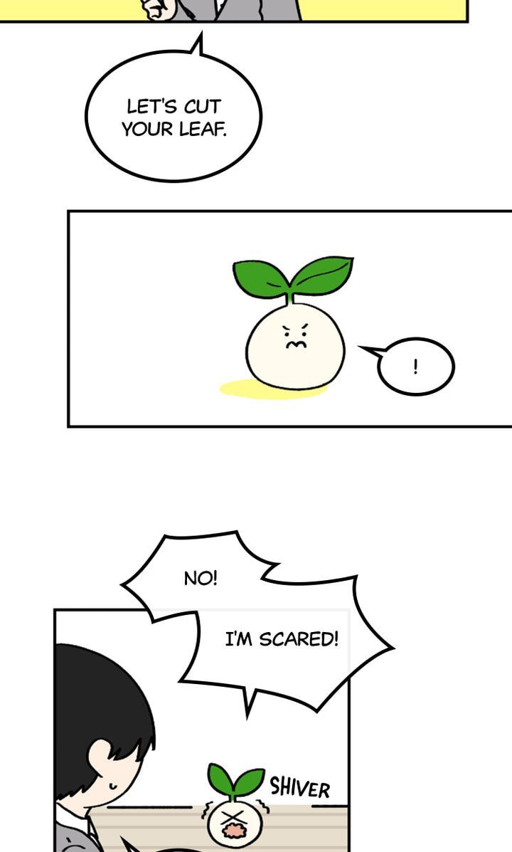 Read A Vegetarian