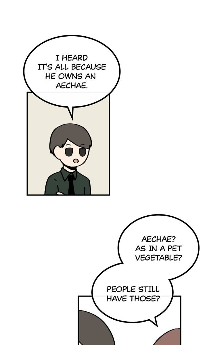 Read A Vegetarian