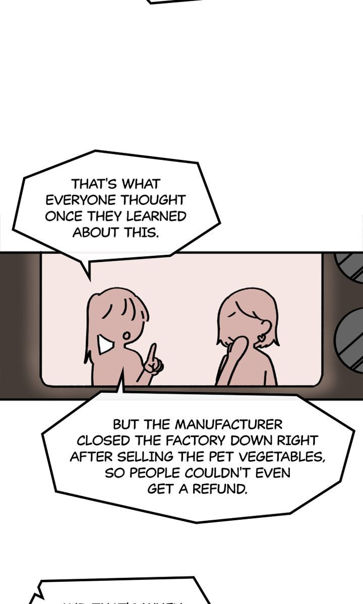 Read A Vegetarian