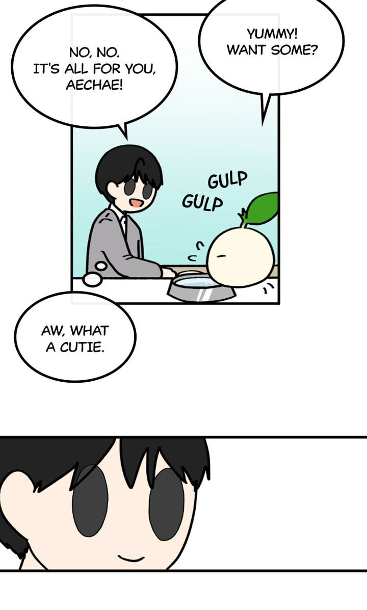 Read A Vegetarian