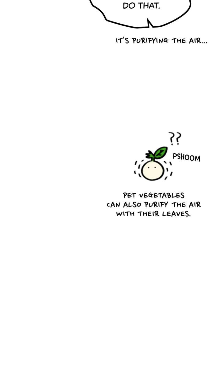 Read A Vegetarian