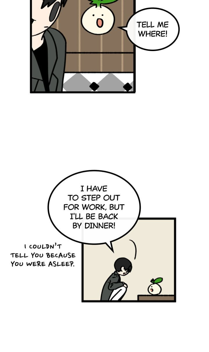 Read A Vegetarian