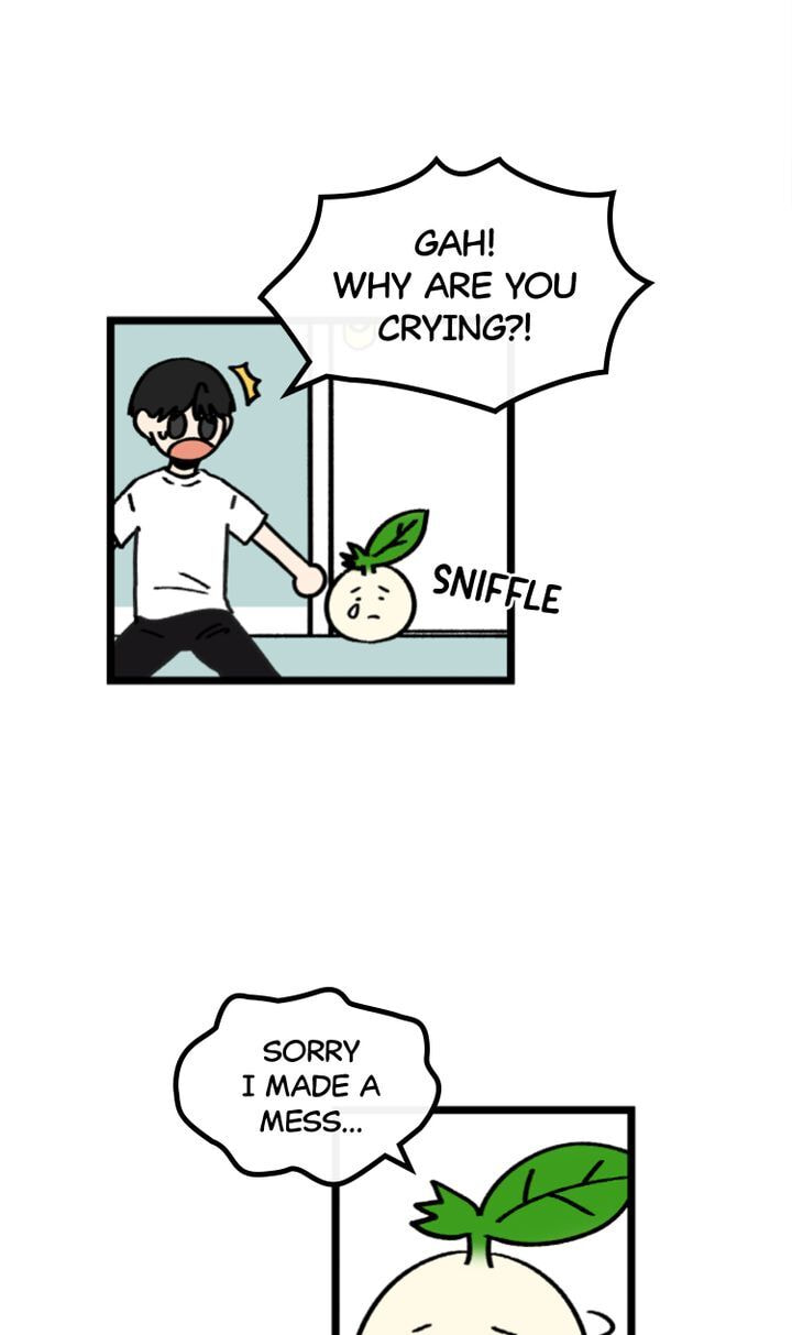 Read A Vegetarian
