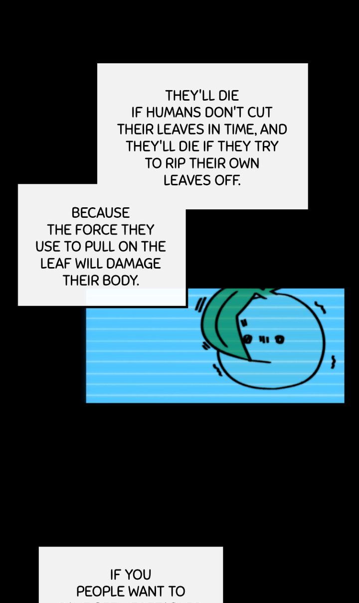 Read A Vegetarian