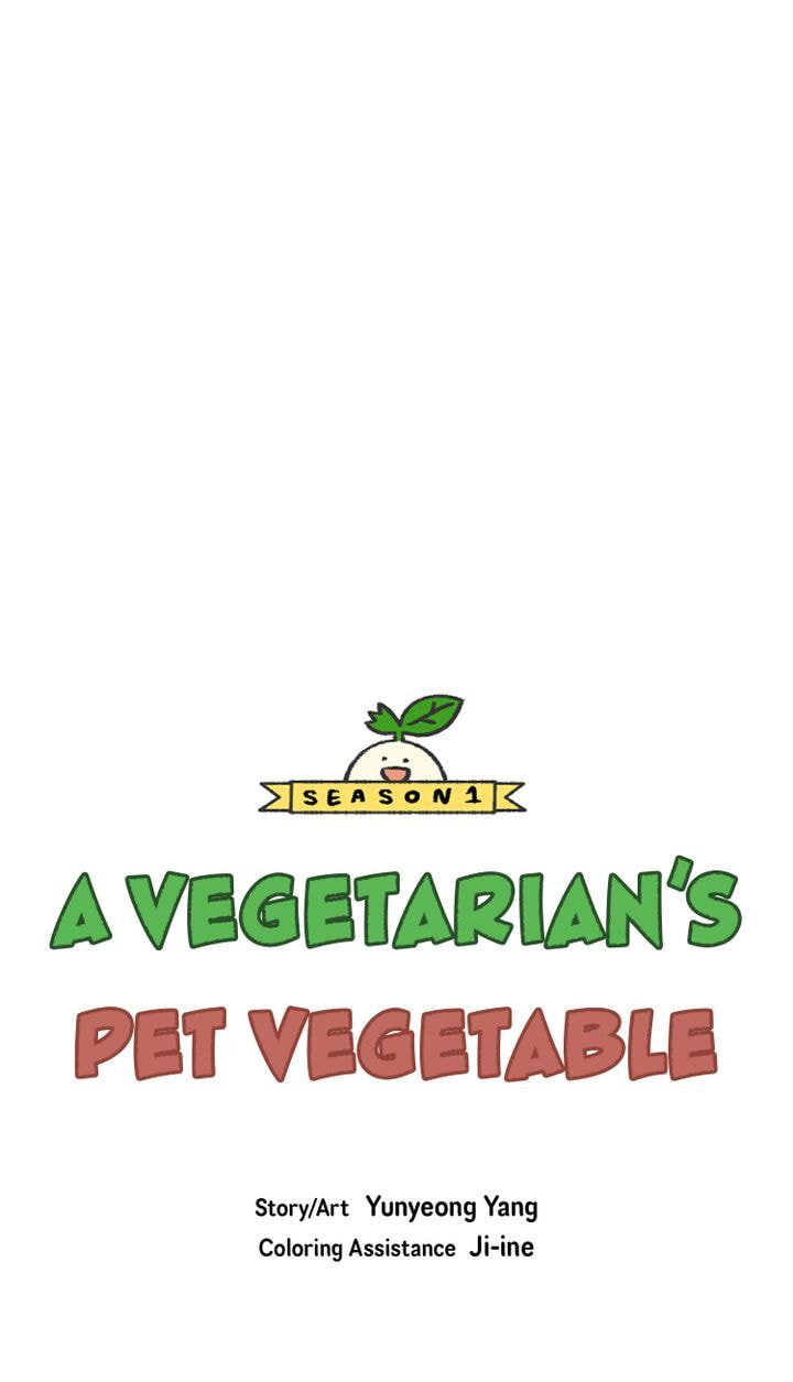 Read A Vegetarian