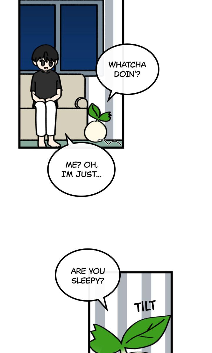 Read A Vegetarian