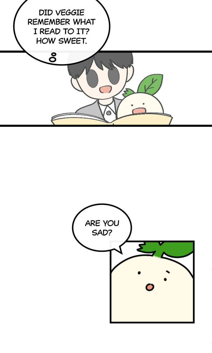 Read A Vegetarian