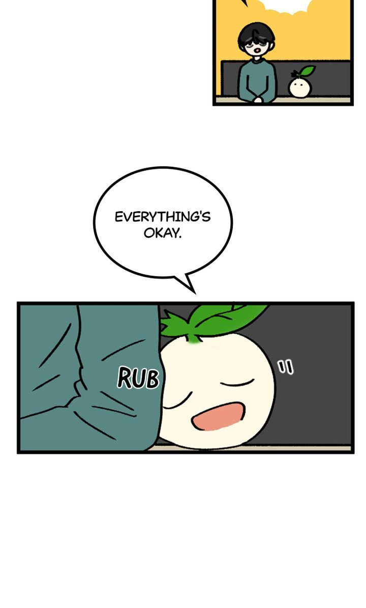 Read A Vegetarian