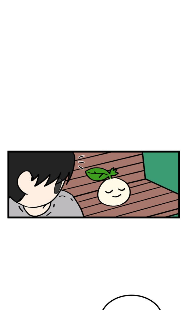 Read A Vegetarian