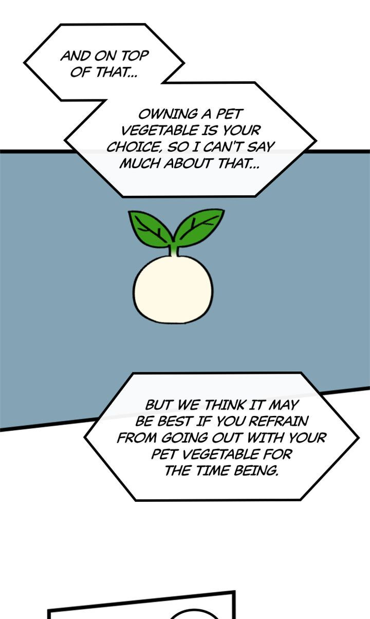 Read A Vegetarian