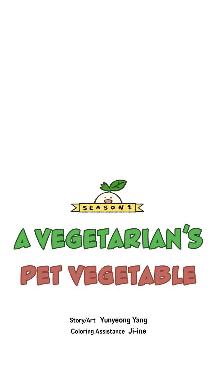 Read A Vegetarian